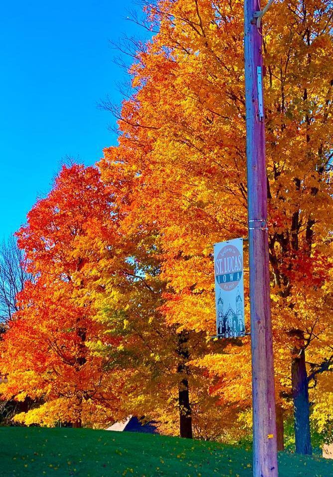 St. Lucas sign with autumn leaves on trees behind it.